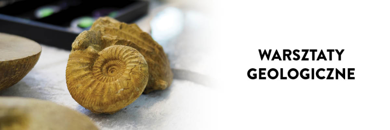 Warsztaty geologiczne